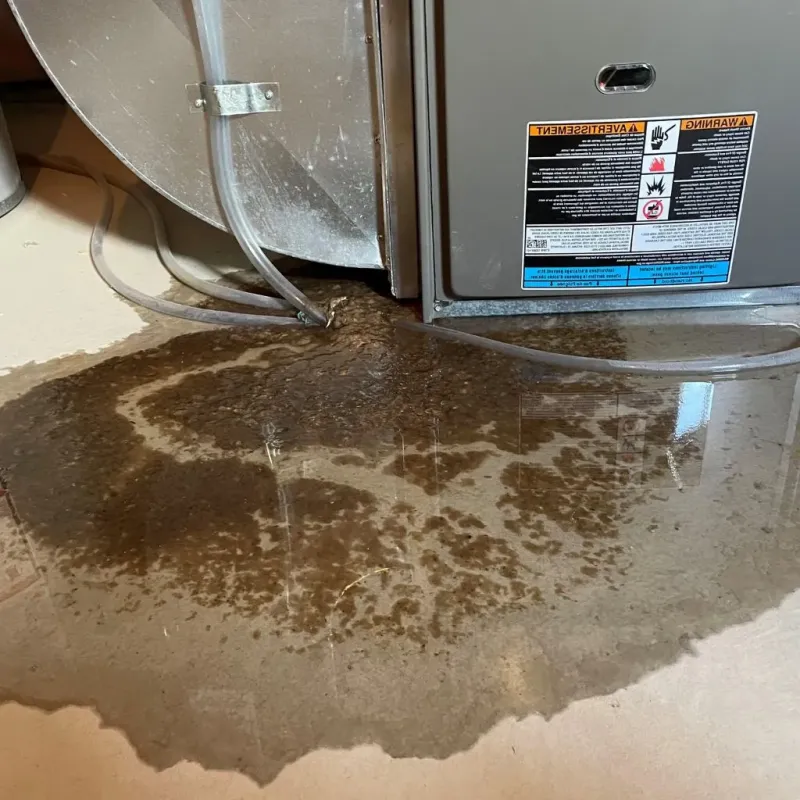 Pipe Burst and Leak Restoration in Littlestown, PA